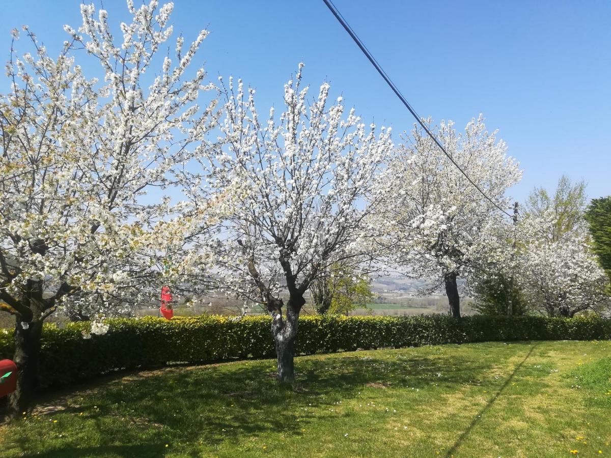 דירות Castagnole delle Lanze Locazione Turistica Cascina Pela מראה חיצוני תמונה